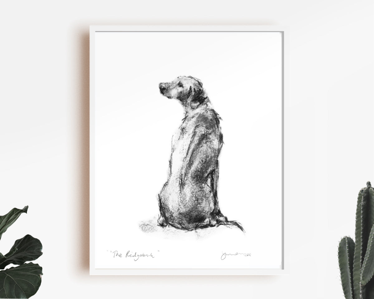 Ridgeback Sketch Print - Drawing of a Rhodesian Ridgeback