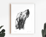 The Sun -  Sketch Print