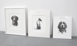 Looking Back Terrier Sketch Print