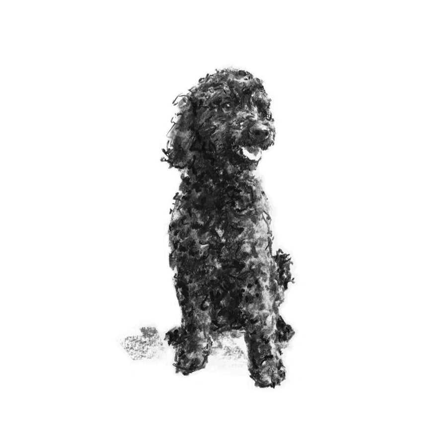 Black shop poodle art