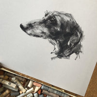SOLD Lurcher charcoal  on grey paper - Original Drawing