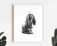 "The Bright Bunny" Rabbit Sketch Print