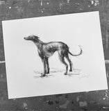 SOLD Standing whippet ORIGINAL drawing - Large