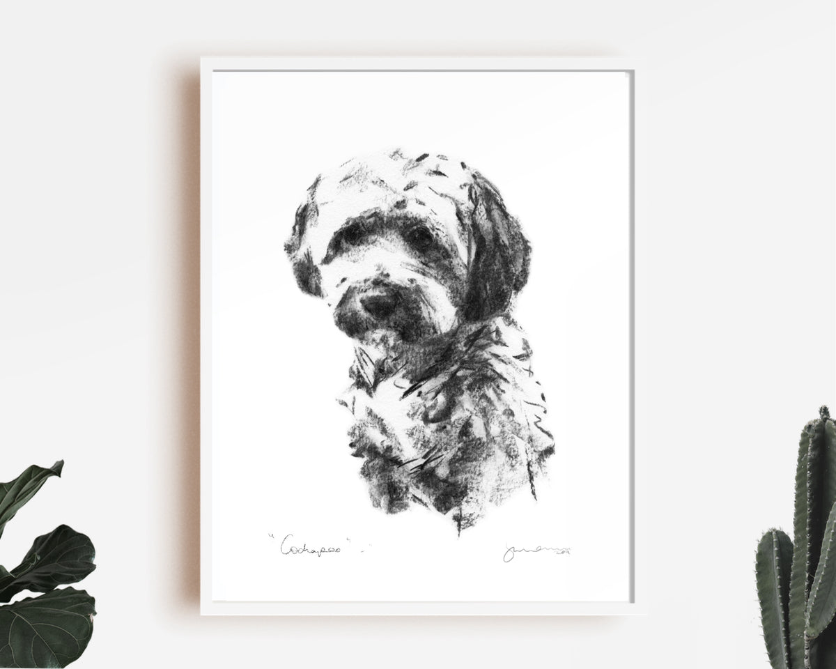 Cockapoo sketch - charcoal cockapoo drawing - fine art print ...