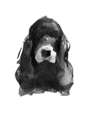 The Spaniel Ink Sketch Print