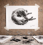 Sighthound  charcoal sketch ORIGINAL drawing - Large