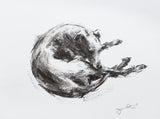 Sighthound  charcoal sketch ORIGINAL drawing - Large