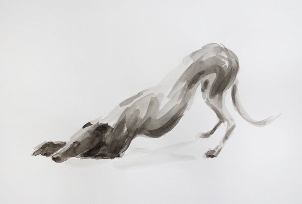 SOLD Downward Dog  ink and wash drawing - ORIGINAL