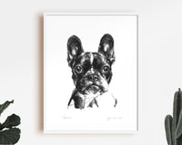 French Bulldog Sketch Print