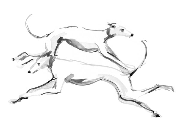Sighthounds Running ink on Paper - Original Drawing