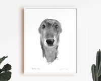 Greyhound Sketch Print