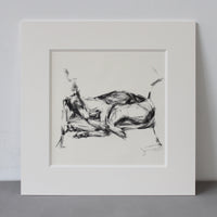 SOLD Great Lengths Charcoal sighthound sketch ORIGINAL drawing