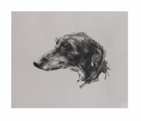 SOLD Lurcher charcoal  on grey paper - Original Drawing
