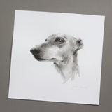 Greyhound ink wash drawing - ORIGINAL