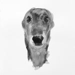 SOLD Greyhound  ink and wash drawing - ORIGINAL