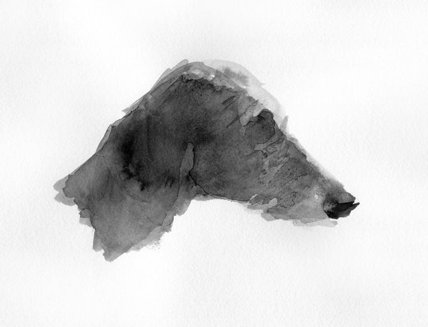 Lurcher ink on Paper - Original Drawing