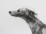 SOLD Standing whippet ORIGINAL drawing - Large