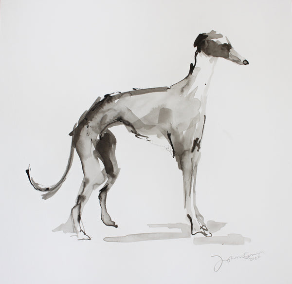 Sighthound ink and wash drawing - ORIGINAL