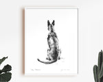 Malinois Sketch Print