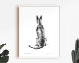 Malinois Sketch Print