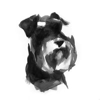 SOLD Schnauzer portrait  ink sketch ORIGINAL drawing