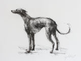 SOLD Standing whippet ORIGINAL drawing - Large
