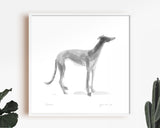Sighthound Standing Ink Sketch Print