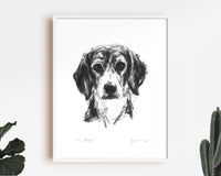 Beagle Portrait Sketch Print