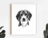 Beagle Portrait Sketch Print
