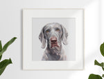 "Shadow" Weimaraner Limited Edition Print