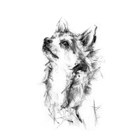 Chihuahua Sketch Print