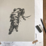 Sighthound sketch ORIGINAL drawing
