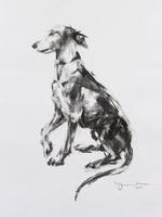 SOLD - Whippet Paw Charcoal sketch ORIGINAL