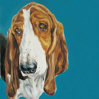 Basset Hound Limited Edition Print