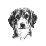Beagle Portrait Sketch Print