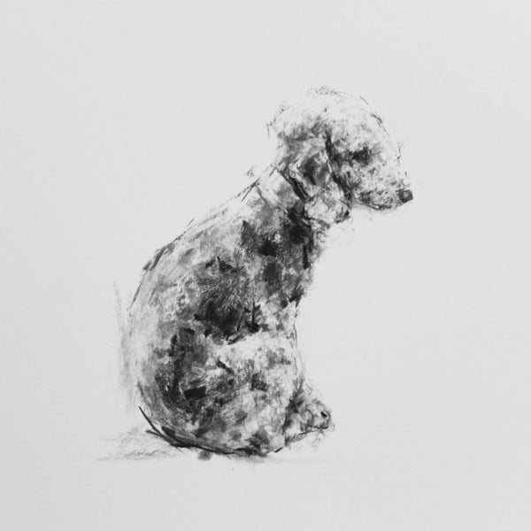 SOLD Bedlington Terrier Charcoal sketch ORIGINAL