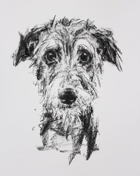 SOLD Lurcher Portrait Charcoal sketch ORIGINAL drawing