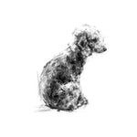 Bedlington Terrier Sketch Print