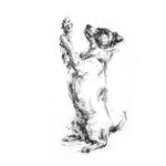 Begging Terrier Sketch Print