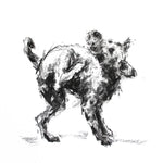 SOLD Terrier "The Impossible Itch" Charcoal sketch ORIGINAL