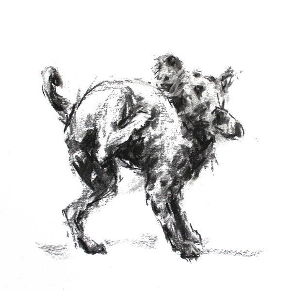 SOLD Terrier "The Impossible Itch" Charcoal sketch ORIGINAL