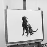 SOLD Large Labrador sketch, Charcoal on paper - Original Dog Drawing