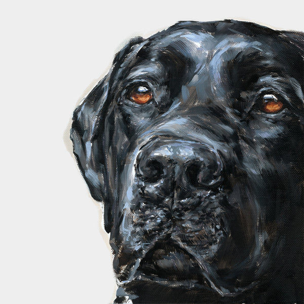 Black labrador print