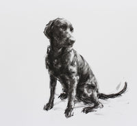 SOLD Large Labrador sketch, Charcoal on paper - Original Dog Drawing
