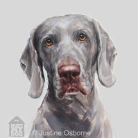 "Shadow" Weimaraner Limited Edition Print