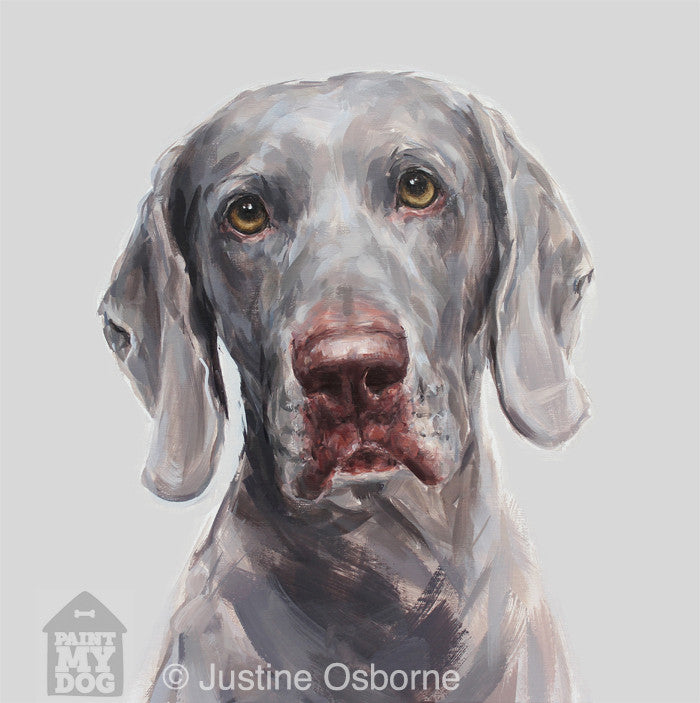 Weimaraner Portrait ORIGINAL dog painting of a Weimaraner