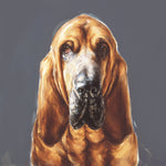 1.Bloodhound Limited Edition Print