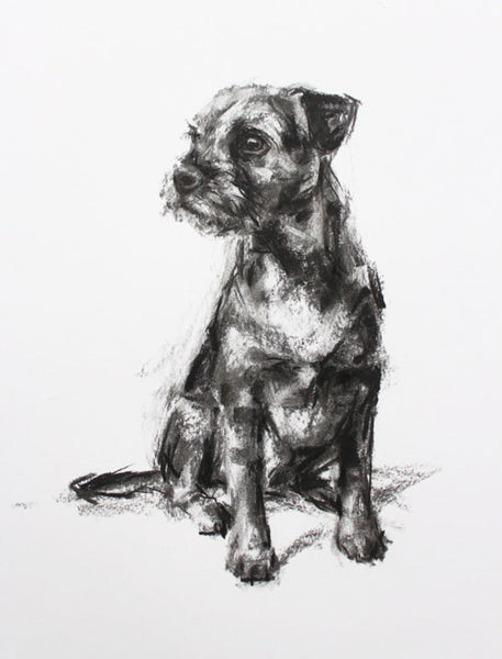 SOLD Border Terrier Charcoal sketch ORIGINAL