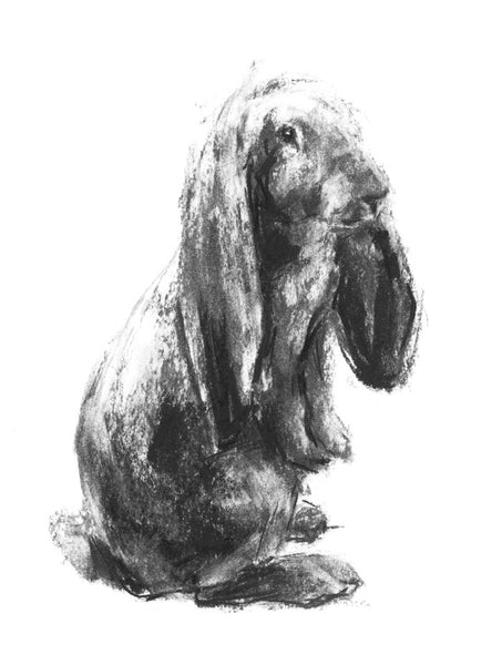 SOLD Bunny Portrait Charcoal sketch ORIGINAL