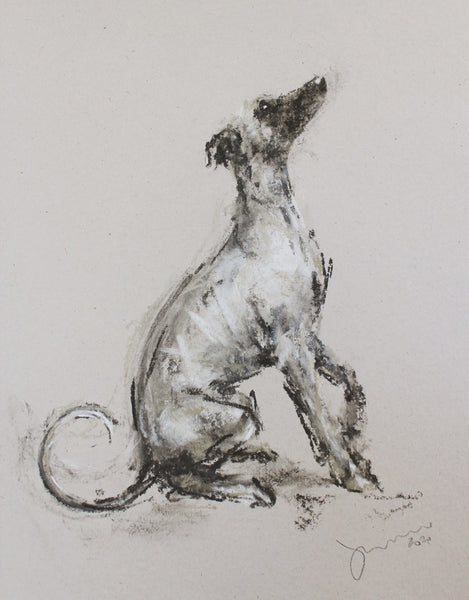 "Pause" Chalk whippet sketch ORIGINAL drawing - SOLD